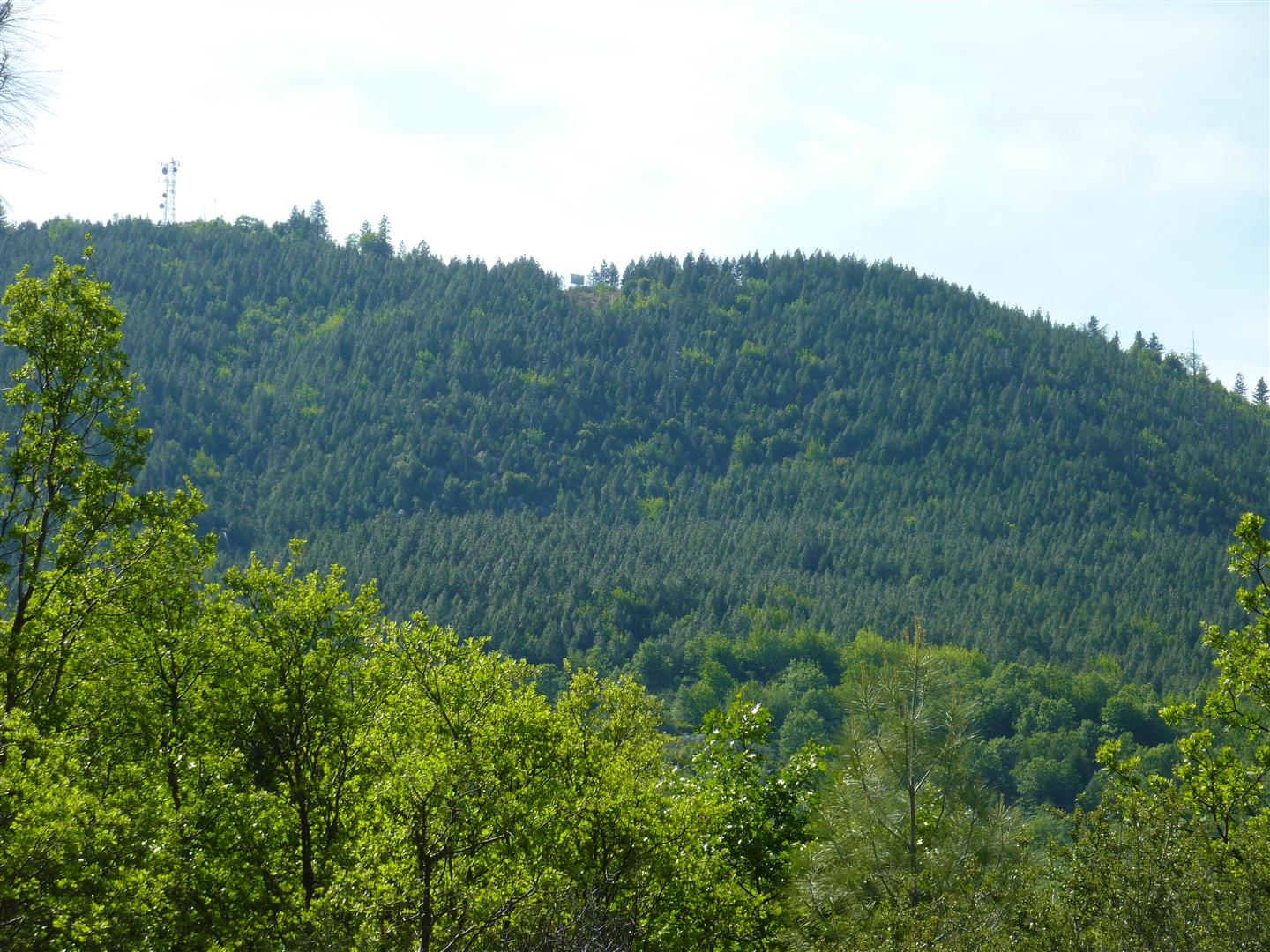 2 Acres Hwy 299 Round Mountain, CA Shasta County Land for Sale