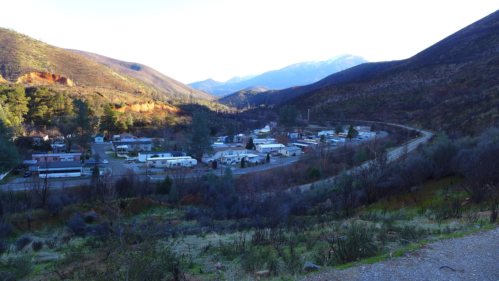 Shasta County Land For Sale 398 + Ac Trinity Mountain Road, French