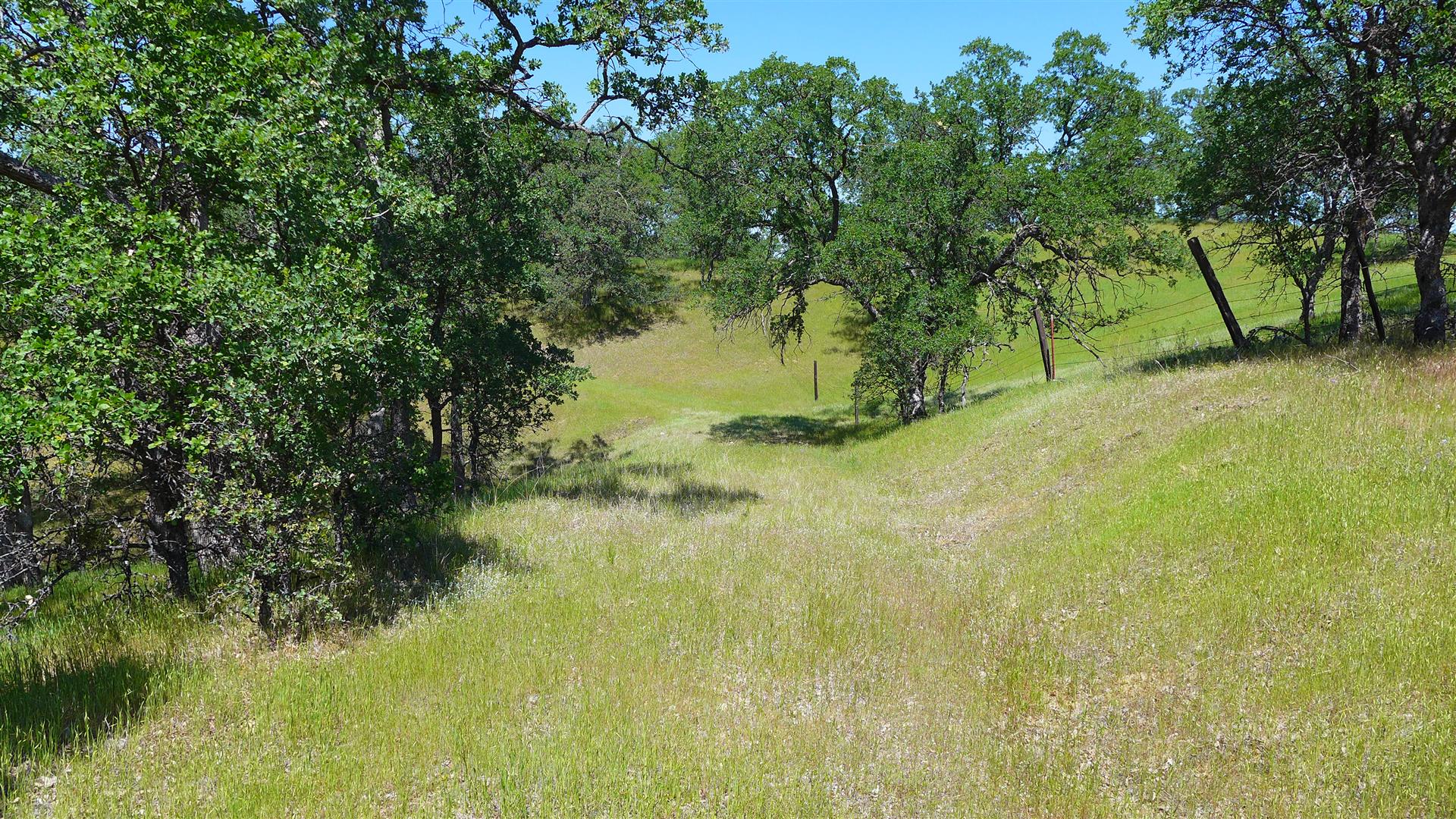 Tehama County Land For Sale Lot 14 Chisholm Ct Red Bluff, CA 69,000