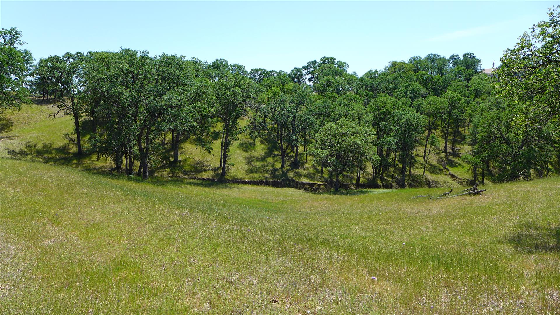 Tehama County Land For Sale Lot 14 Chisholm Ct Red Bluff, CA 69,000