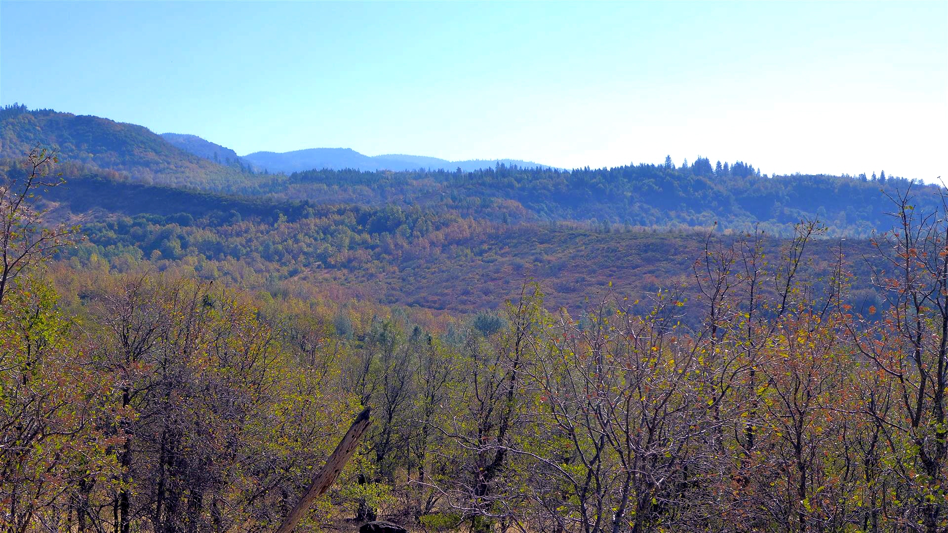 Shasta County Land For Sale 10 Ac Crestline Dr. Round Mountain, CA 18,000