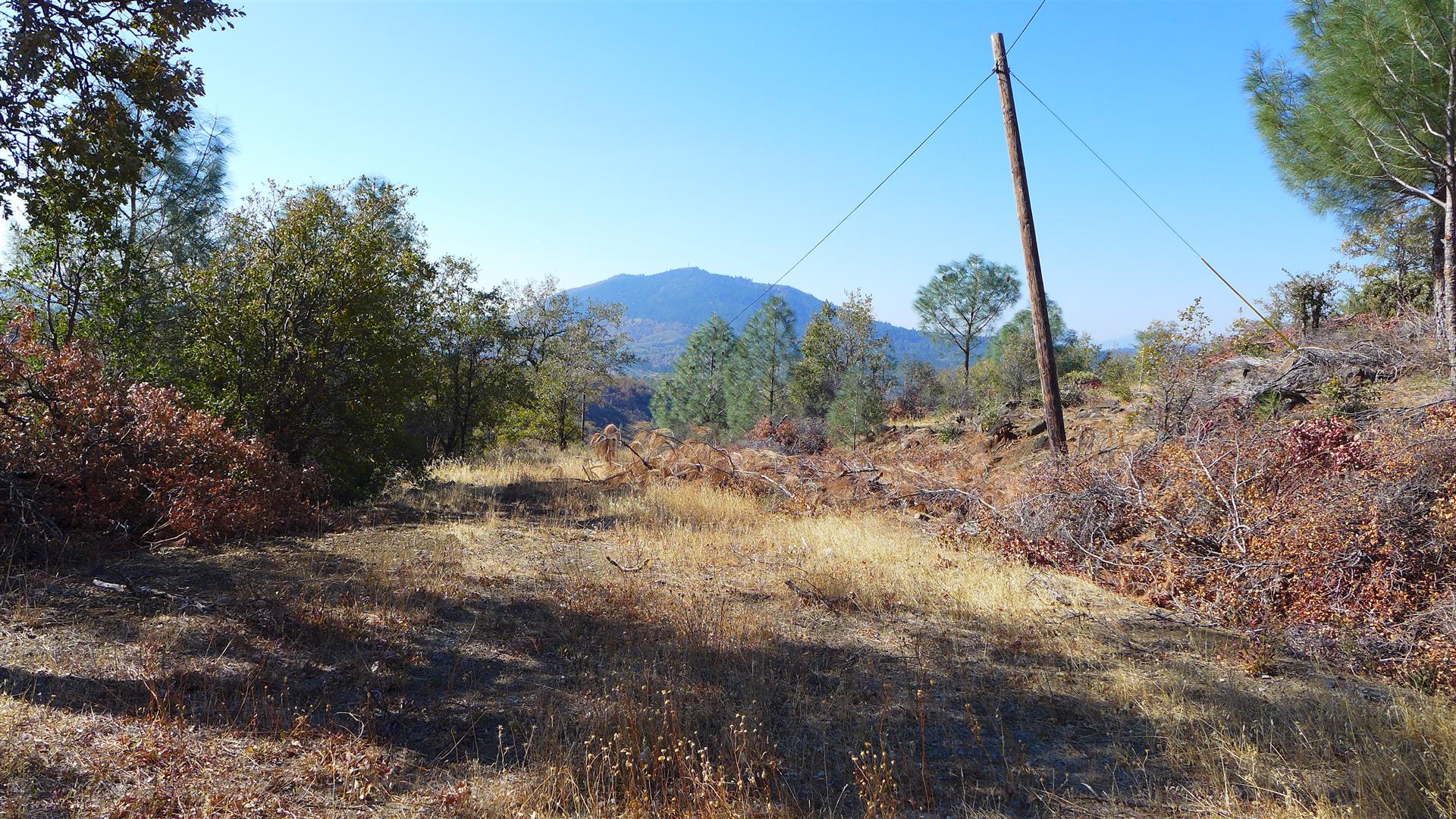 Shasta County Land For Sale 10 Ac Crestline Dr. Round Mountain, CA 18,000