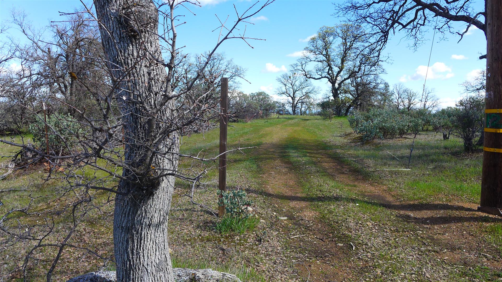Tehama County Land For Sale 16295 Kahn Rd Cottonwood, CA 65,000 Shasta