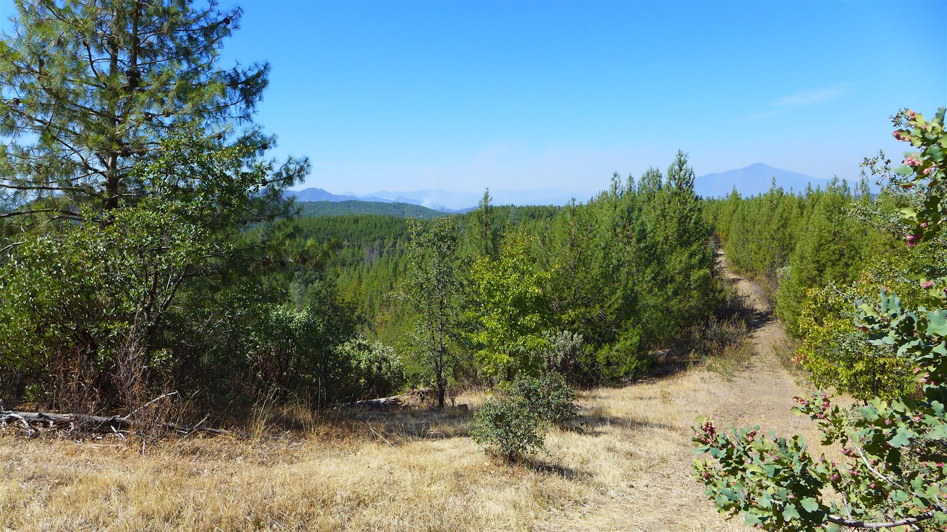 Sold Shasta County Land For Sale 77+ Acres Backbone Rd, Bella
