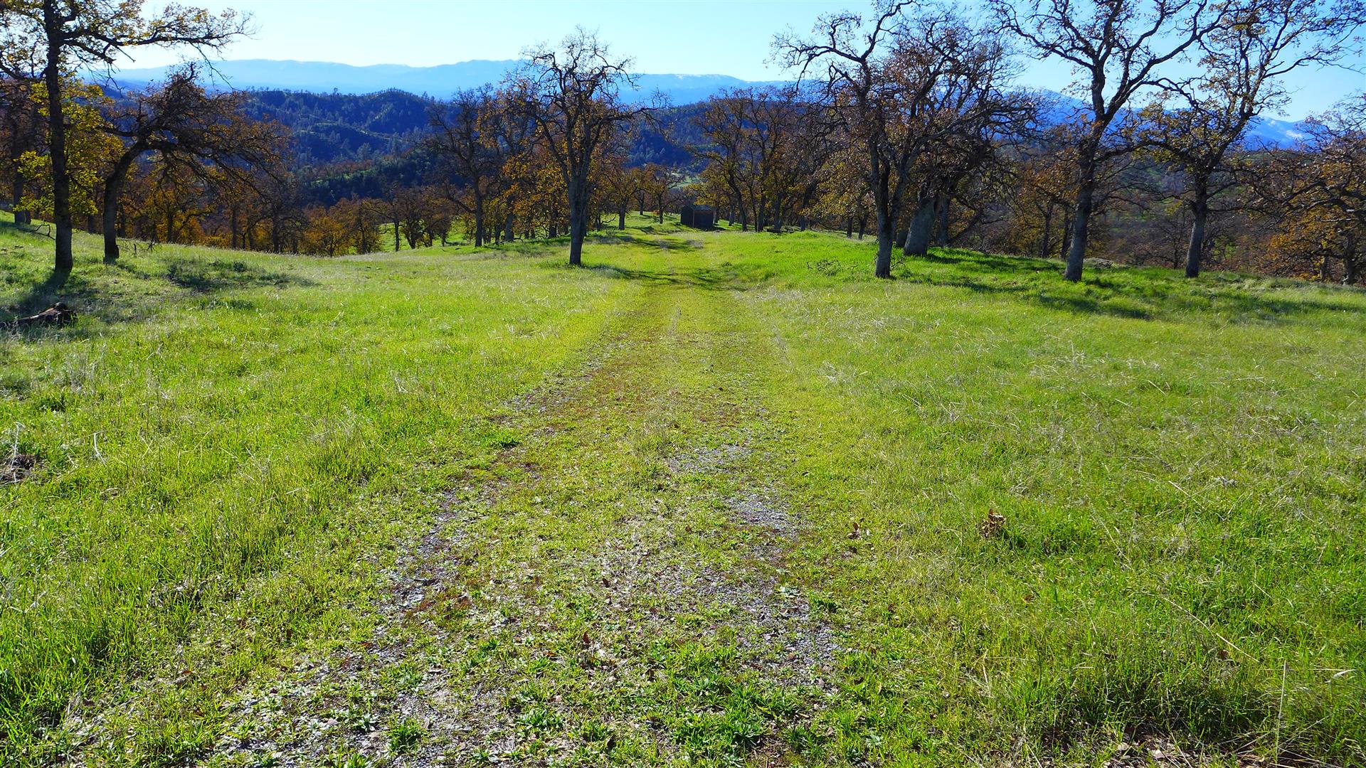 Shasta County Land for sale, Lot 83 Roaring Creek Rd, Ono, CA 70,000
