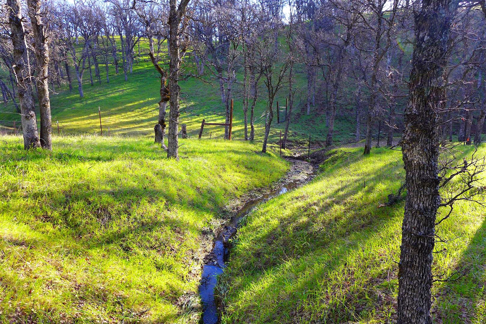 Tehama County Land Lot 72 Ranchero Dr, Red Bluff, CA 55,000 Shasta