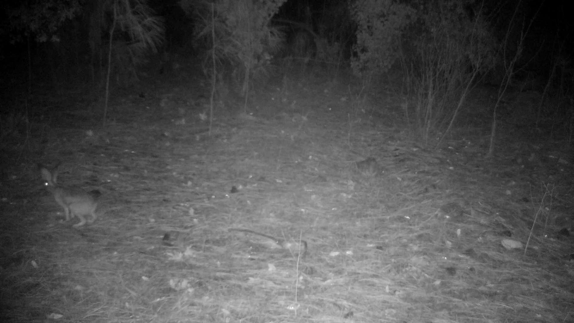 Shasta County Land For Sale, 20 Acres Backbone Rd, Bella Vista, CA