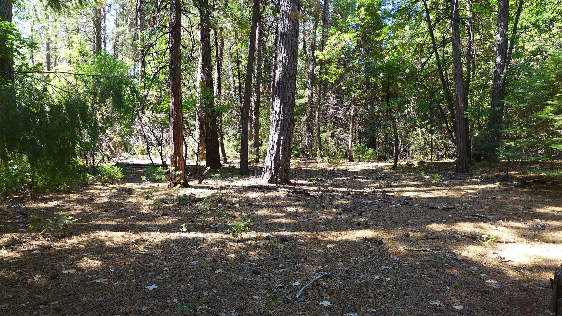 Shasta County Land For Sale Lot 14 100 Road, Shingletown, CA 96088 67,000 Shasta County Land